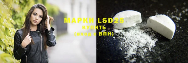 хмурый Арсеньев