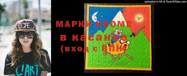 хмурый Арсеньев