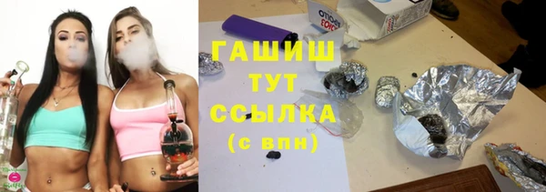хмурый Арсеньев