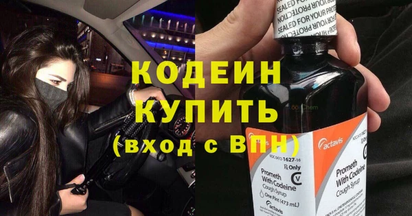хмурый Арсеньев